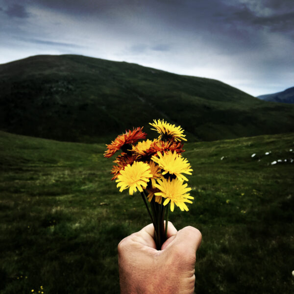 1B36904D-DC84-4535-8D83-5D910FC63A9D