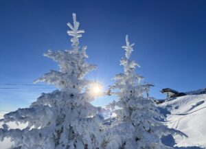 Read more about the article Top Bedingungen am Nassfeld – jetzt Skigenuss erleben!