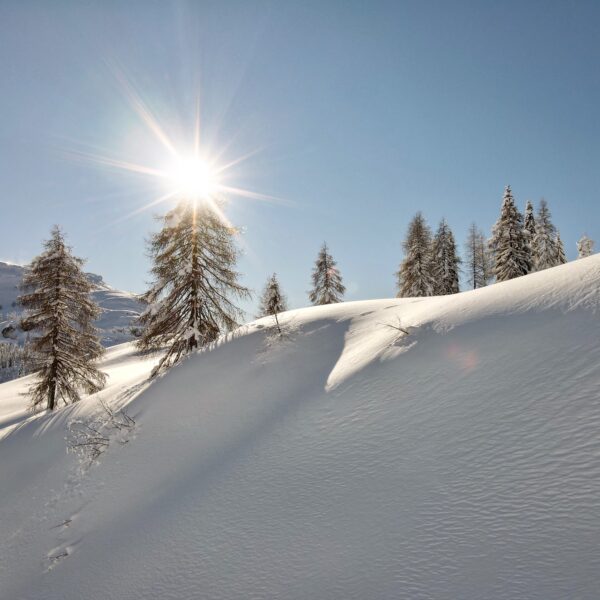 Edited with Lens Distortions v4.7.1